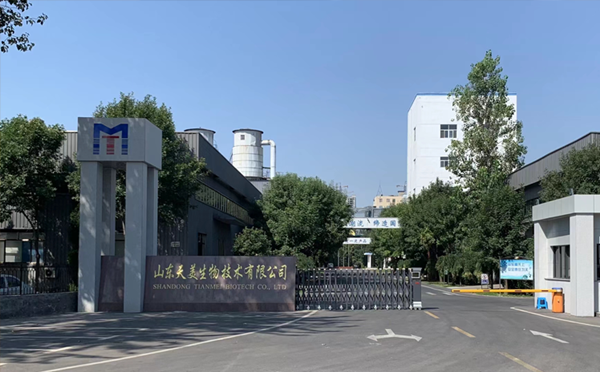 走進天美